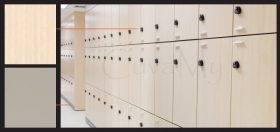 Image 9: Washroom Lockers